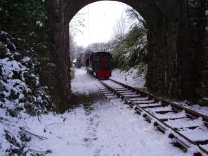 waterford & suir valley railway