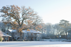 imagine at fota island resort cork