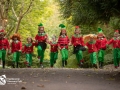 Christmas-at-Castlecomer-Discovery-Park-Kilkenny-Elves-Running