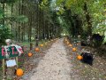 K2Alpaca-Pumpkin-Patch-Scary-Trail