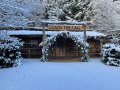 Luggwoods-teach-nollaig