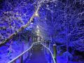 luggwoods-snow-path