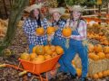 Luggwoods-Hallloween-team