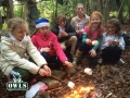 OWLS-campfire