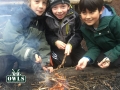 OWLS-fire-lighting