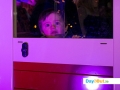 palmerstonhouseestate_littlevisitors