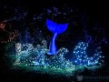 06-Winterval-DaysOut
