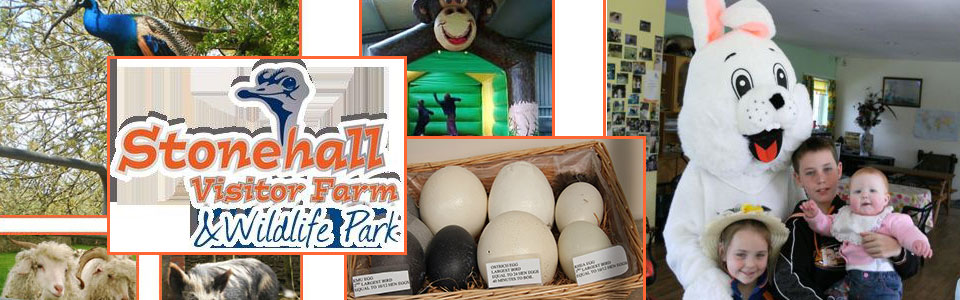 easter event stonehall visitor farm limerick