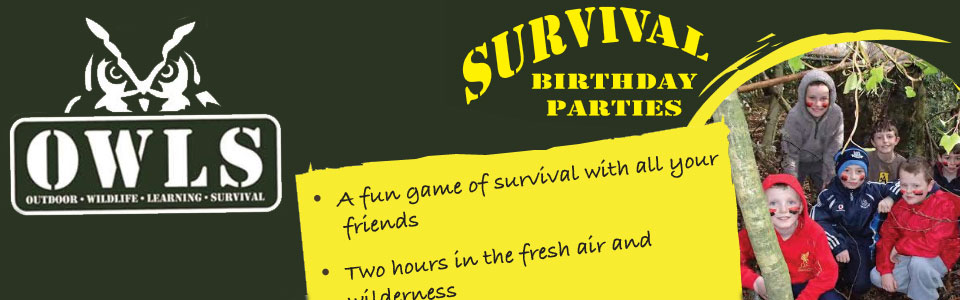 owls survival birthday parties