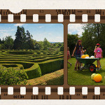 greenan-maze-wicklow