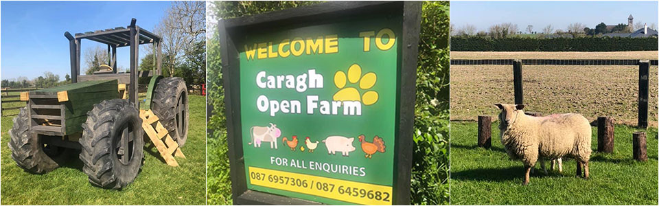Caragh Open Farm Kildare