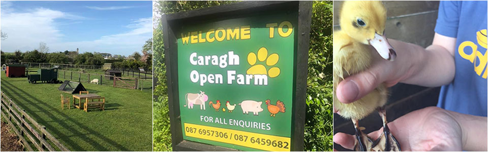 Caragh-Open-Farm-School-Tours-Kildare