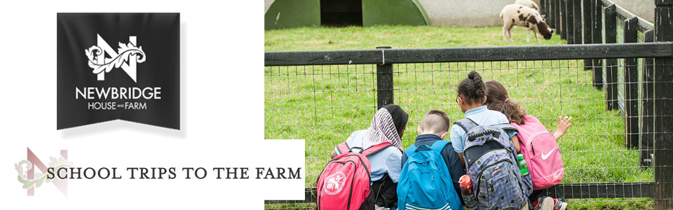 School-Tours-Newbridge-Farm-Dublin