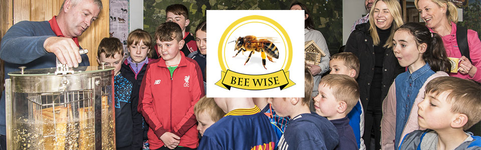 school-tours-beewise-meath