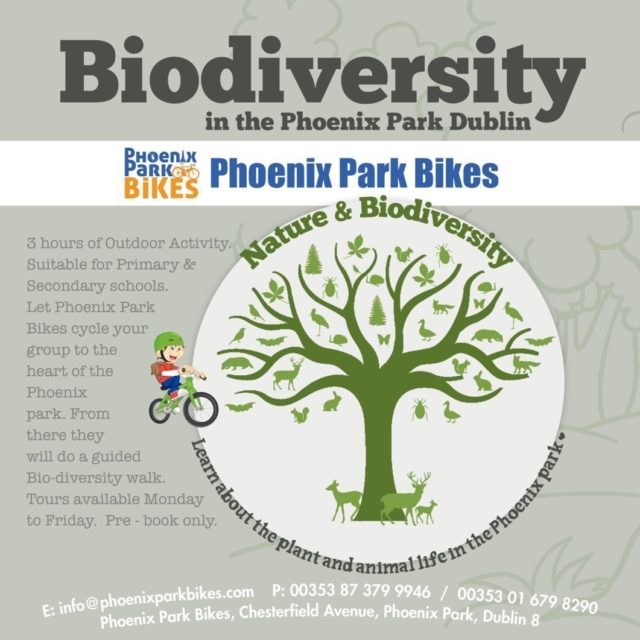 phoenix park bikes