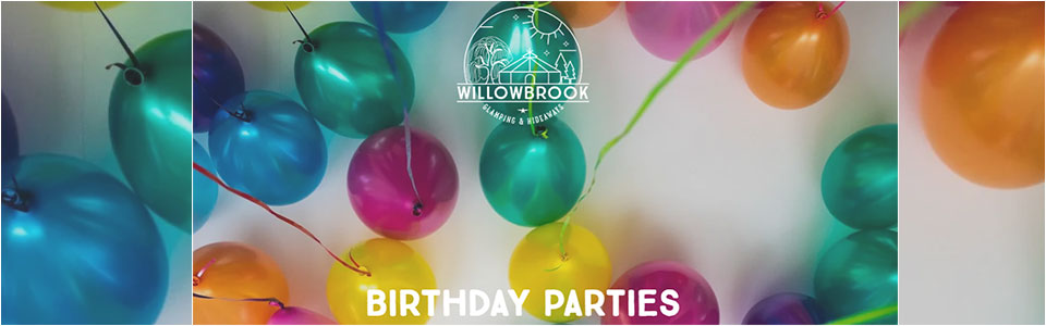 birthday parties willowbrook
