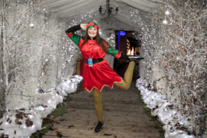 santa at the clanard court