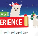 K2 Alpacas Santa Experience Wicklow