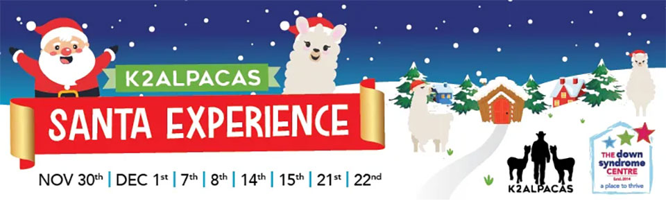 K2 Alpacas Santa Experience Wicklow